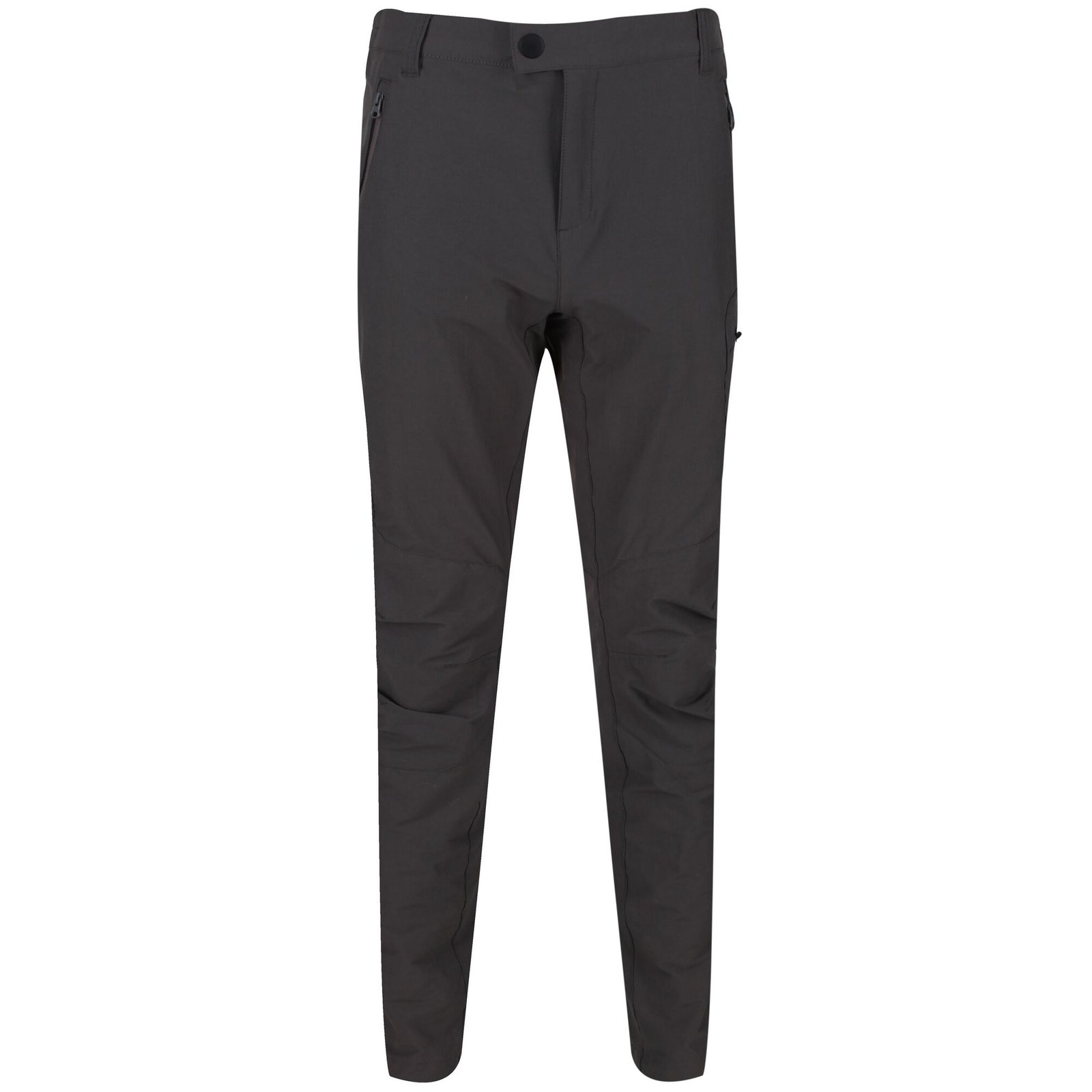 Regatta Highton Trouser Trekking Erkek Pantolon