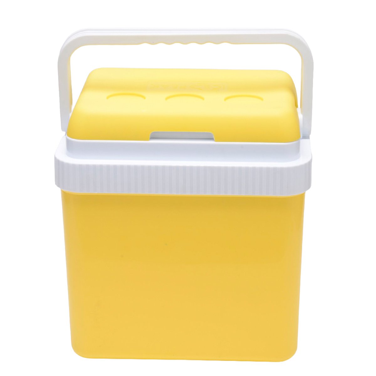 Icepeak SF26 Taşıma Çantası Buzluk 26 Litre - Görsel 3