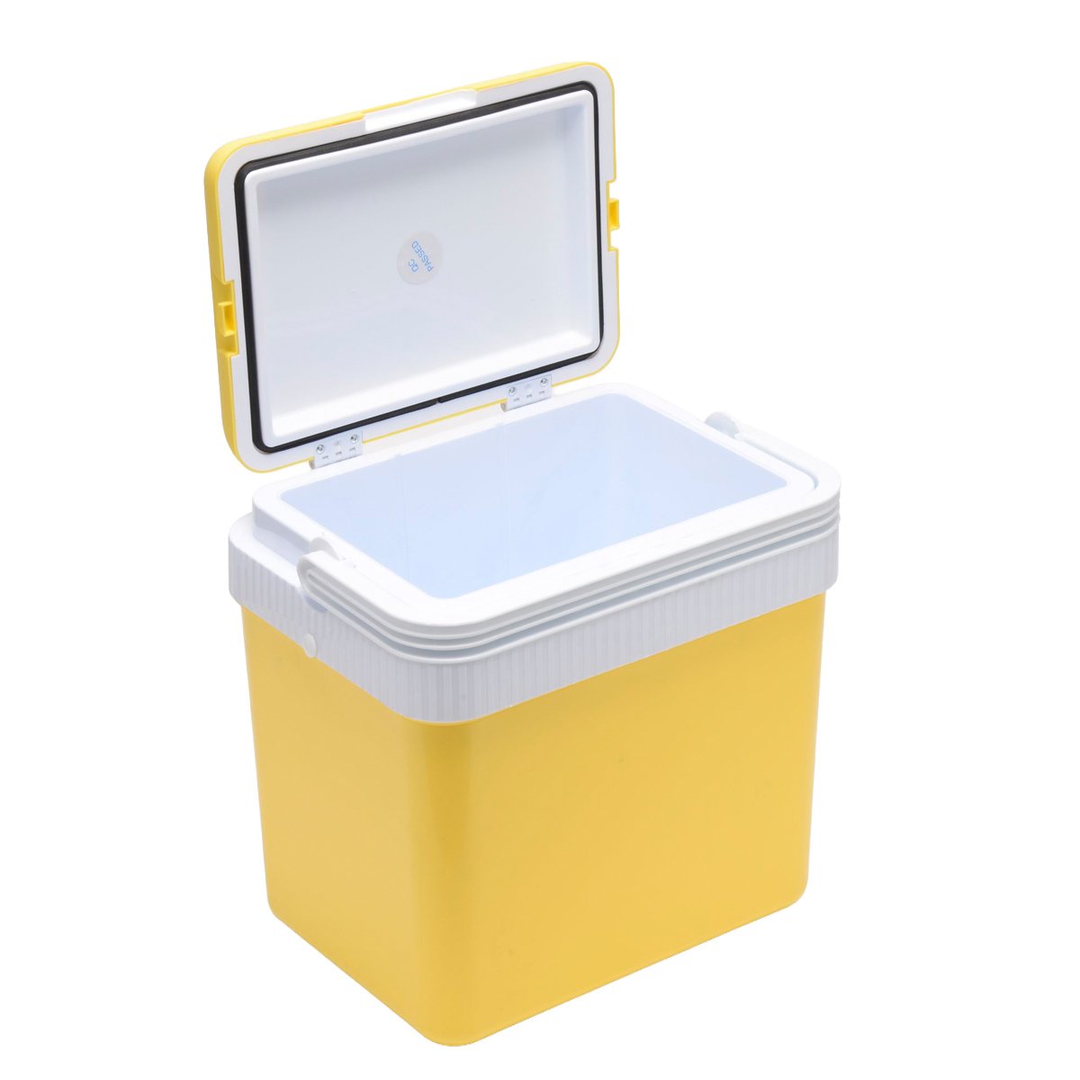 Icepeak SF26 Taşıma Çantası Buzluk 26 Litre - Görsel 4